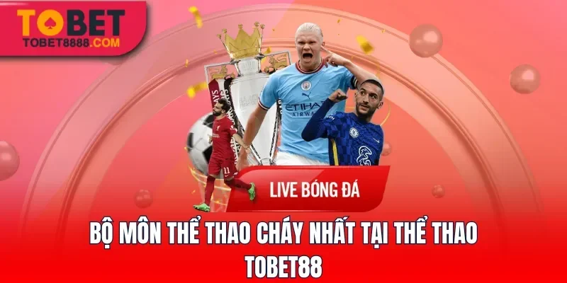 Những bộ môn thể thao “cháy” nhất tại Thể Thao Tobet88