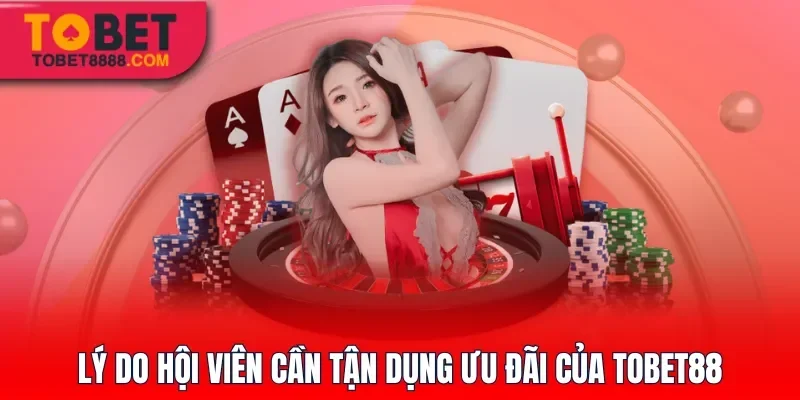 Lý do hội viên cần tận dụng ưu đãi của Tobet88