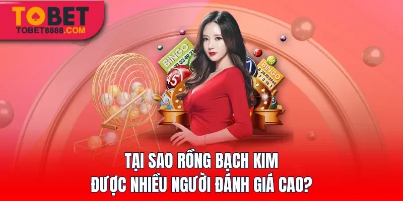 Tại sao Rồng Bạch Kim được nhiều người đánh giá cao?